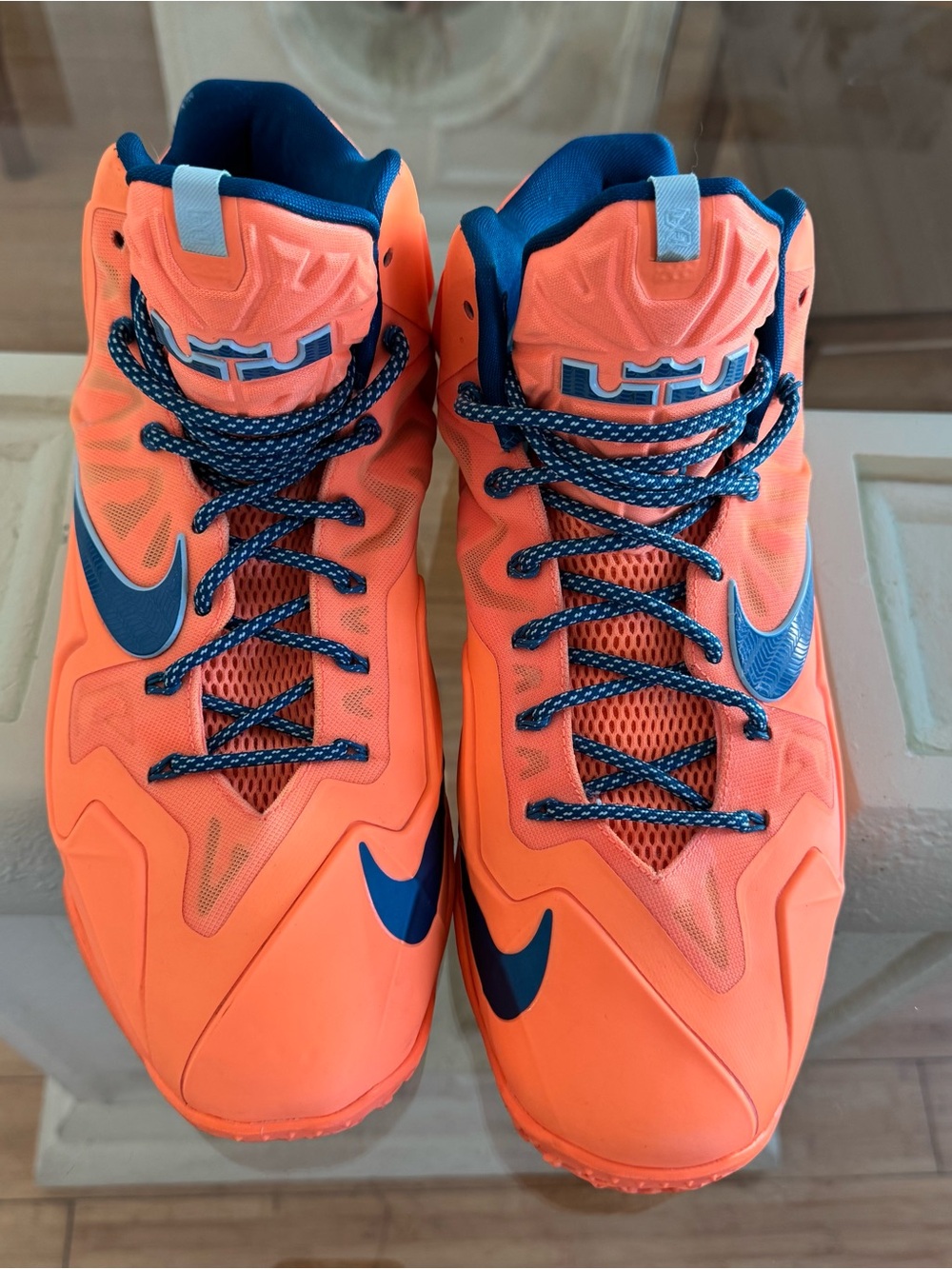 Nike LeBron US12